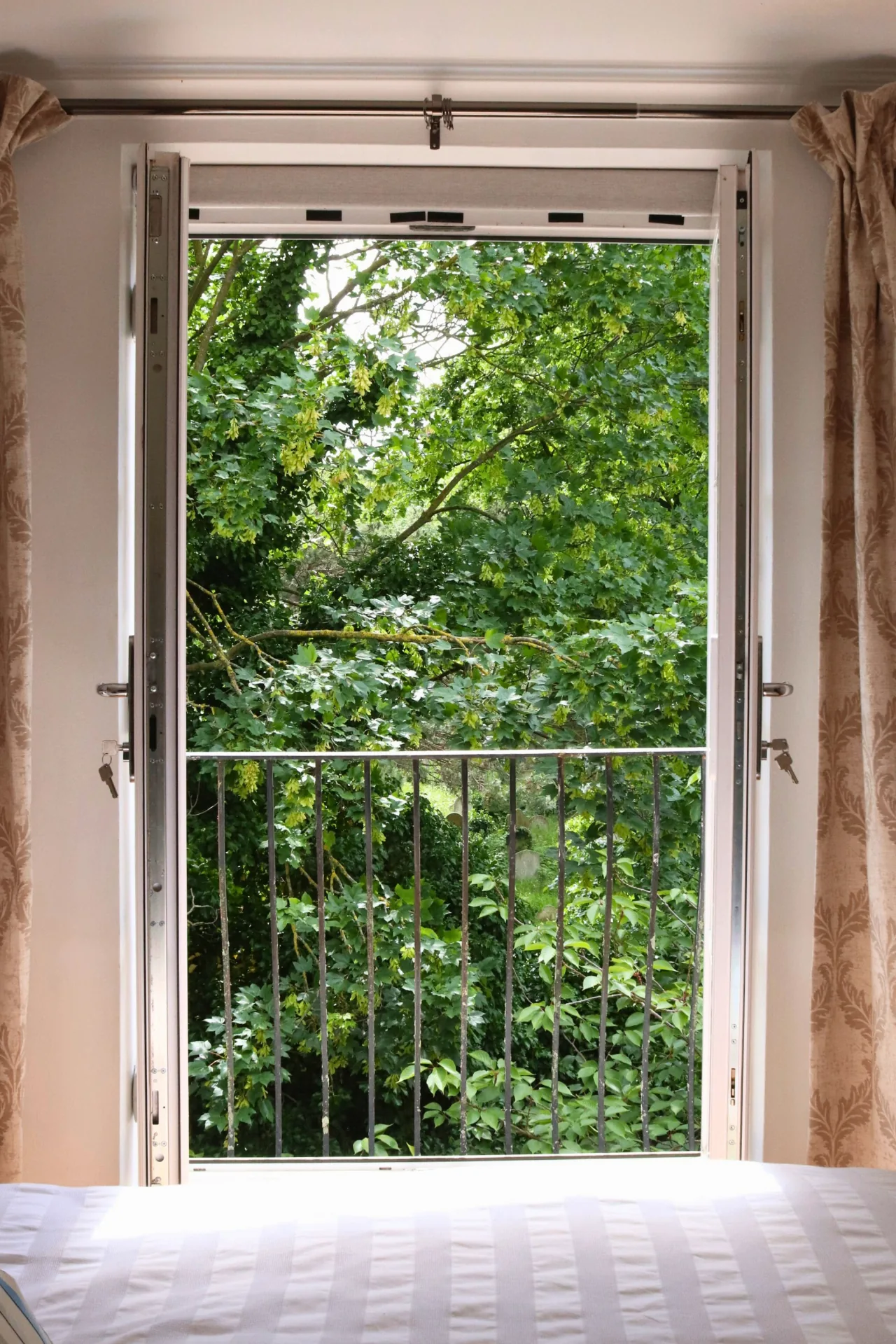 Leafy Outlook
